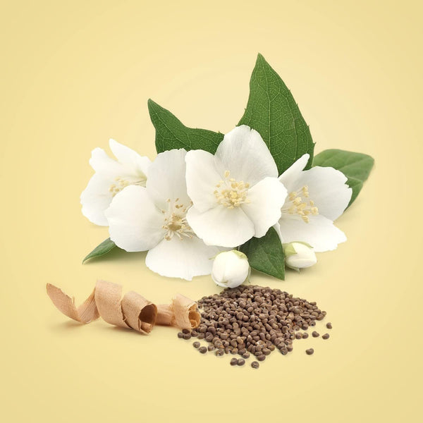 Timeless Elegance Perfume